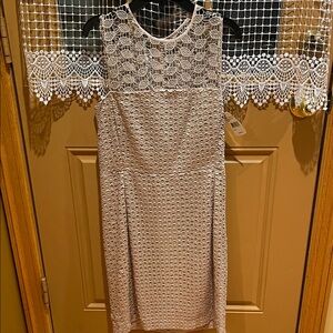 Diane Von Furstenberg  Lace Sheath Dress in Nude-